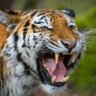 Фото профиля Davy Dee
