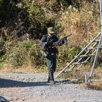 のらさん's profile picture