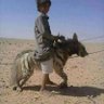 Aahmad Xcvbnm's profile picture
