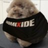 MXMN's profile picture