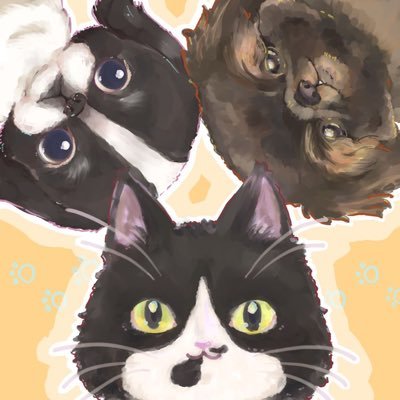 norucatnurucat's profile picture