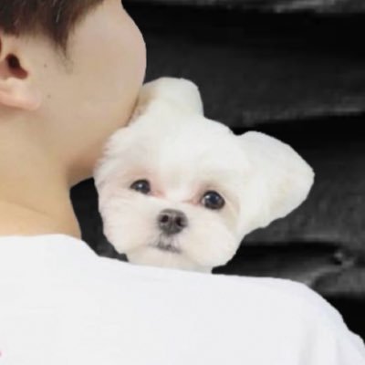 boo_tangerine's profile picture