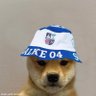 Max1904's profile picture
