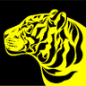 Blind Tiger Gaming's profile picture