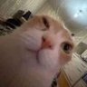 Profilbild von HolyMoly22