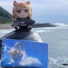 Profilbild von 炒鍋サリ ヰ教徒