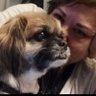 zinn's profile picture