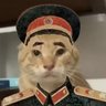 长春の虎(耄耋版🇨🇳)'s profile picture