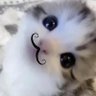 Profilbild von momo