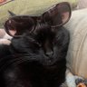 Profilbild von quinn