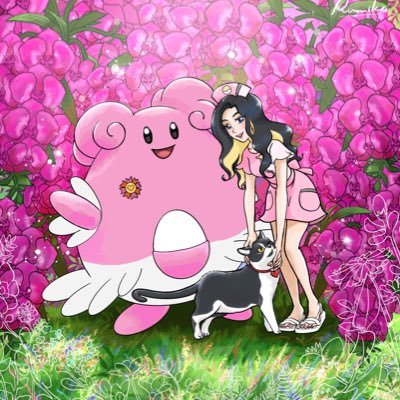 nukochan_toruko's profile picture