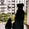 Myszabella 🐭 profil fotoğrafı