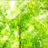 そよは 的头像