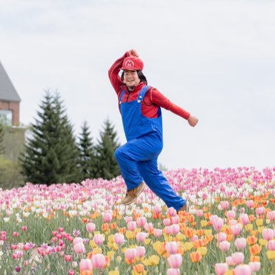 旅マリオ's profile picture
