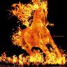phoenixpony profil fotoğrafı