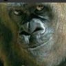 そぅだにょ profil fotoğrafı