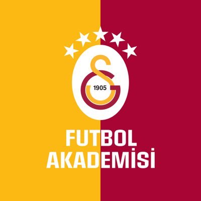 GS Futbol Akademisi's profile picture