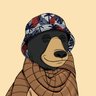 Atiyye Akcay's profile picture