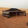 عشقي البادية والبراري profil fotoğrafı