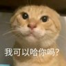 哈吉米哈吉米哈吉哈吉米's profile picture