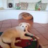 Profilbild von VickyLitkens2