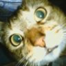Profilbild von かず@3