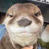 Profilbild von .