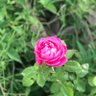 Rakel ❤️ profil fotoğrafı