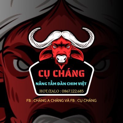 Shop Tình Yêu 👉👉 Nhắn Fb : Cháng A Cháng) 🌸🌸's profile picture