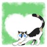 KC Sky's profile picture