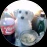 NachosSinQueso's profile picture