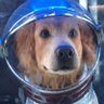 Maciek's profile picture