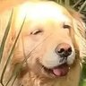 Profilbild von Mike