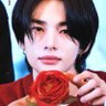 合 StrayDumpling 合 🅞🅣➑合's profile picture