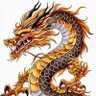 Free Dragon 的头像