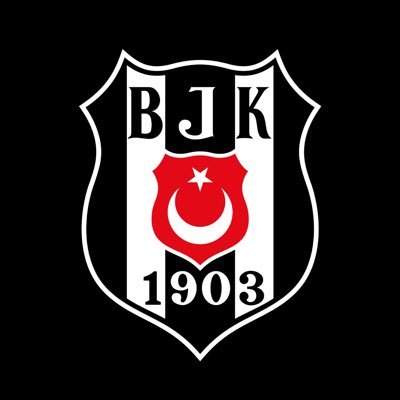 Beşiktaş JK's profile picture