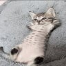 .smny profil fotoğrafı