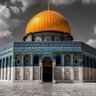 Profilbild von مقبل المحجري