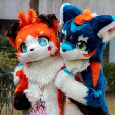 cs6514's profile picture