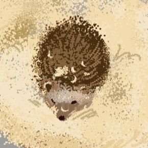 꼬냑온더락's profile picture