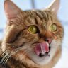 Profilbild von Zorg Anders