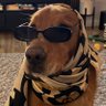 boof or woof's profile picture