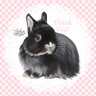 さくちゃん🐰モコナ、ファイお月様移住組の永遠のお世話係🐰新たに黒鋼君のお世話係に就任🐰 profil fotoğrafı