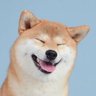 Profilbild von Lenny