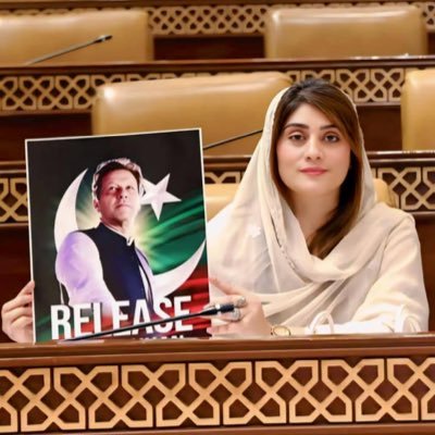 ptisaimakanwal's profile picture