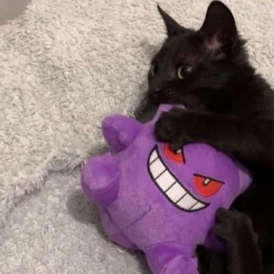 Yoss's profile picture