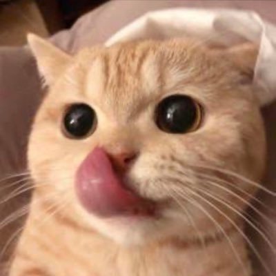 ssboat7's profile picture