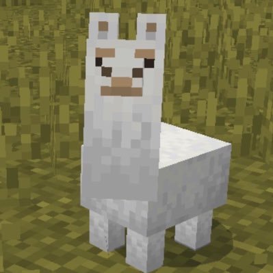 🦙's profile picture