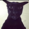 Evil Larry's profile picture