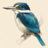 صقر التراثي profil fotoğrafı